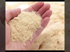 WPC a tuyauté la vente directe d'usine de panneaux de mur ignifuge et étanche à l'humidité