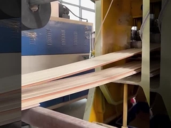 Imperméable de mur de WPC d'usine insonorisée de panneaux et étanche à l'humidité directs