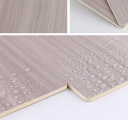 Panneau en bambou de fibre de charbon de bois de PVC de grain en bois ignifuge et antimite de style de luxe léger